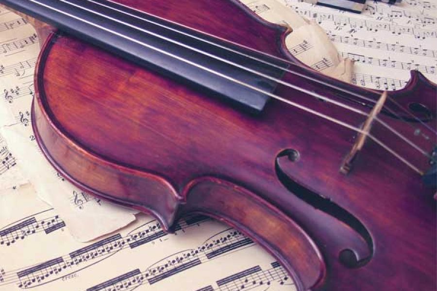 Menggesek Indahnya Kehidupan Lewat Violin