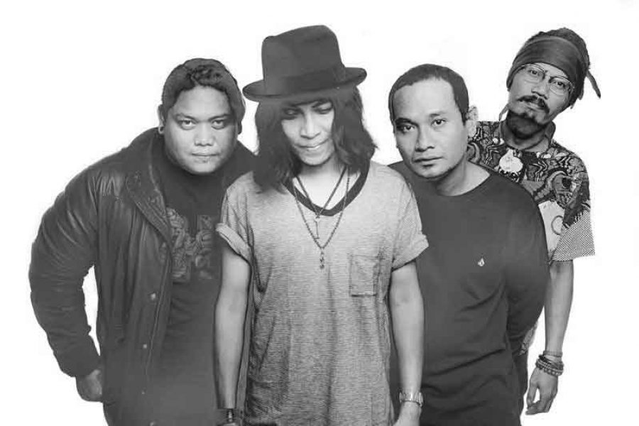 Navicula, “the Green Grunge Gentlemen”